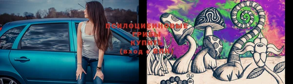 трава Абинск